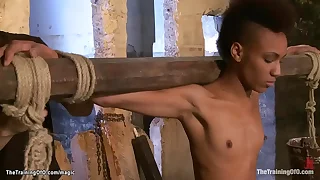 3264 cock porn videos